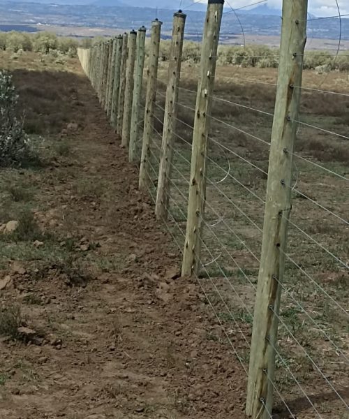 WhatsApp Image 2025-04-13 at 10.32.29 AM (2)